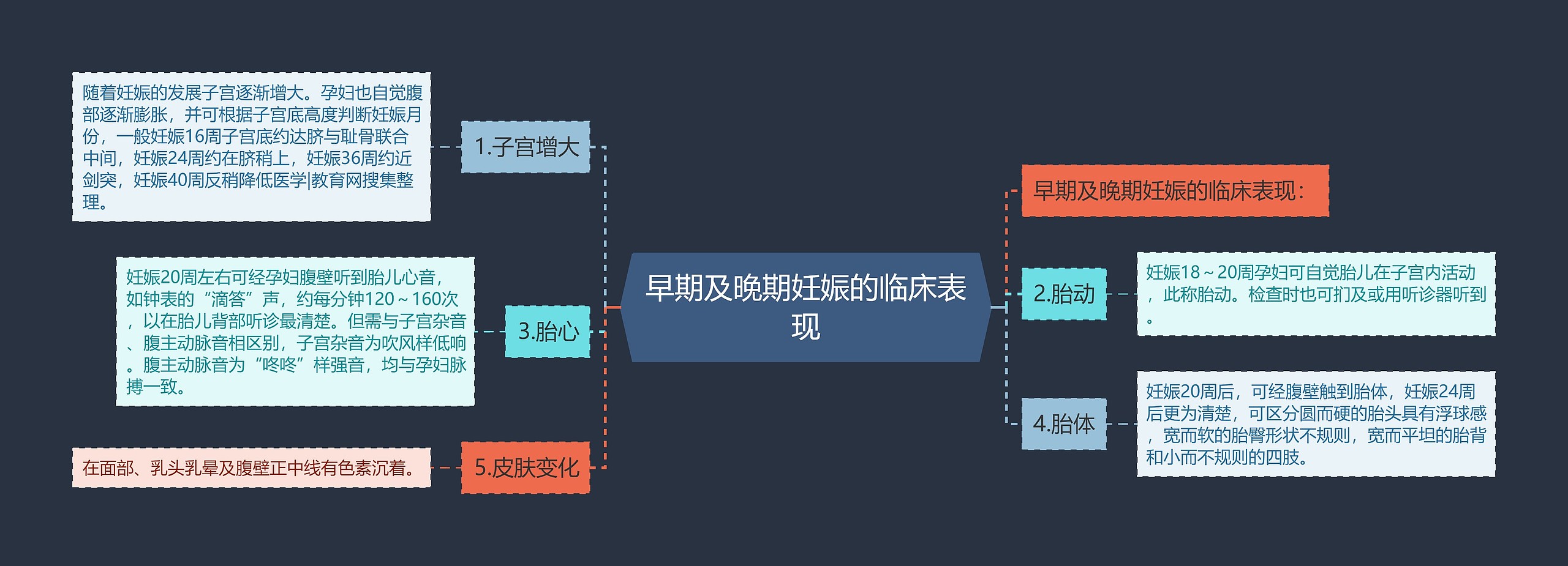 早期及晚期妊娠的临床表现思维导图