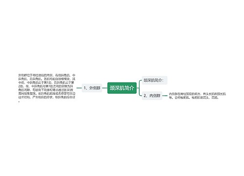 颈深肌简介