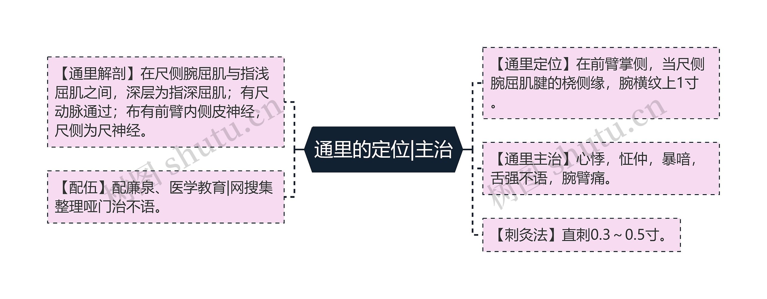 通里的定位|主治思维导图