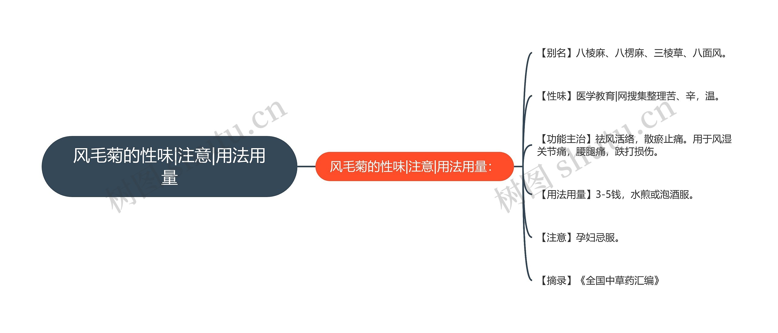 风毛菊的性味|注意|用法用量 风毛菊的性味|注意|用法用量
