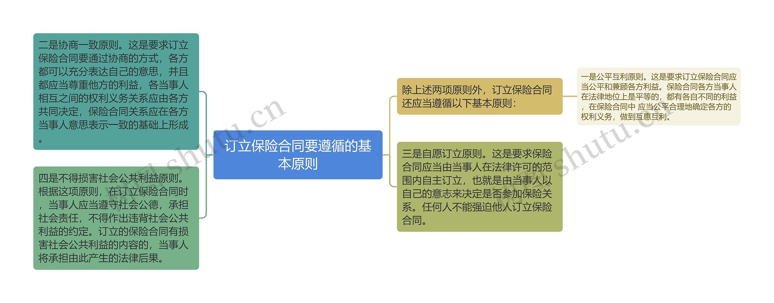 订立保险合同要遵循的基本原则思维导图