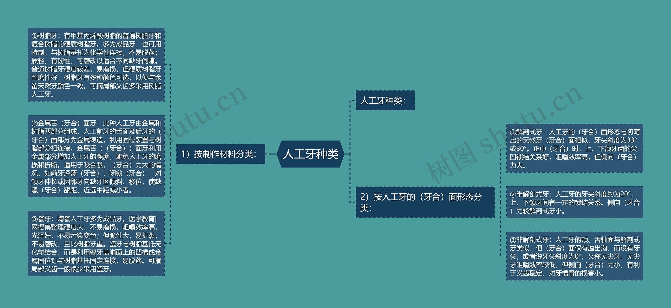 人工牙种类 人工牙种类