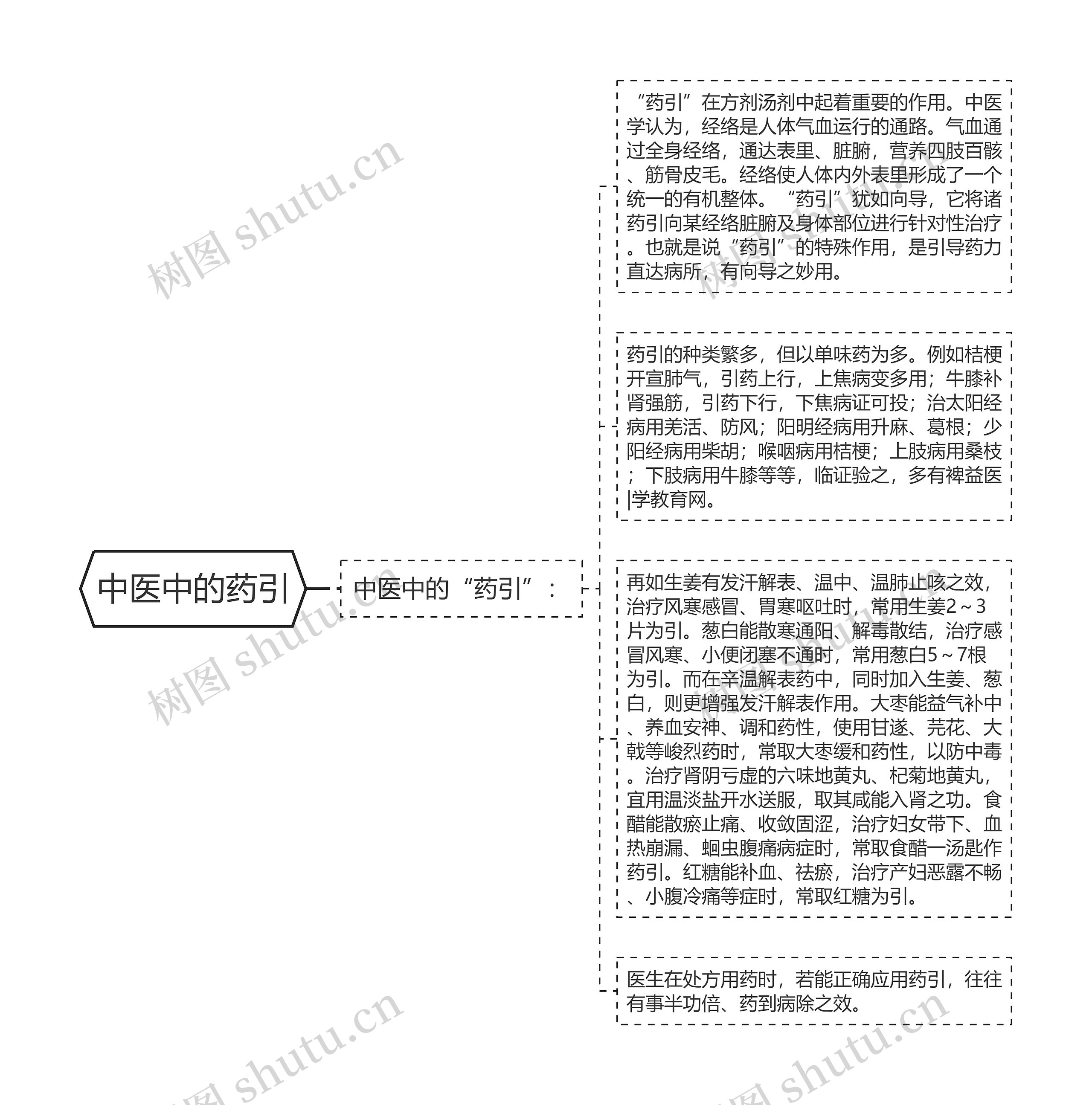 中医中的药引思维导图