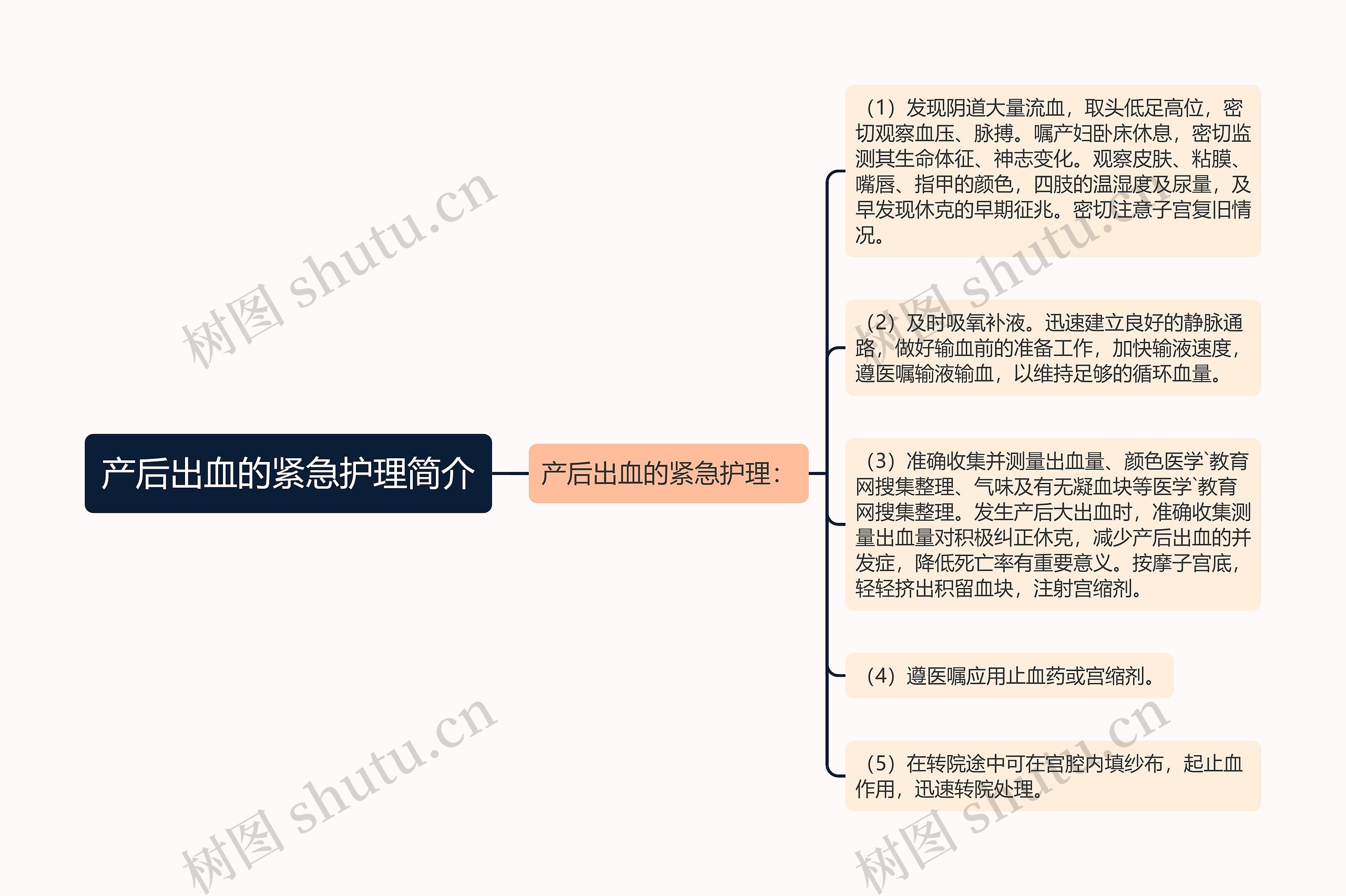 产后出血的紧急护理简介