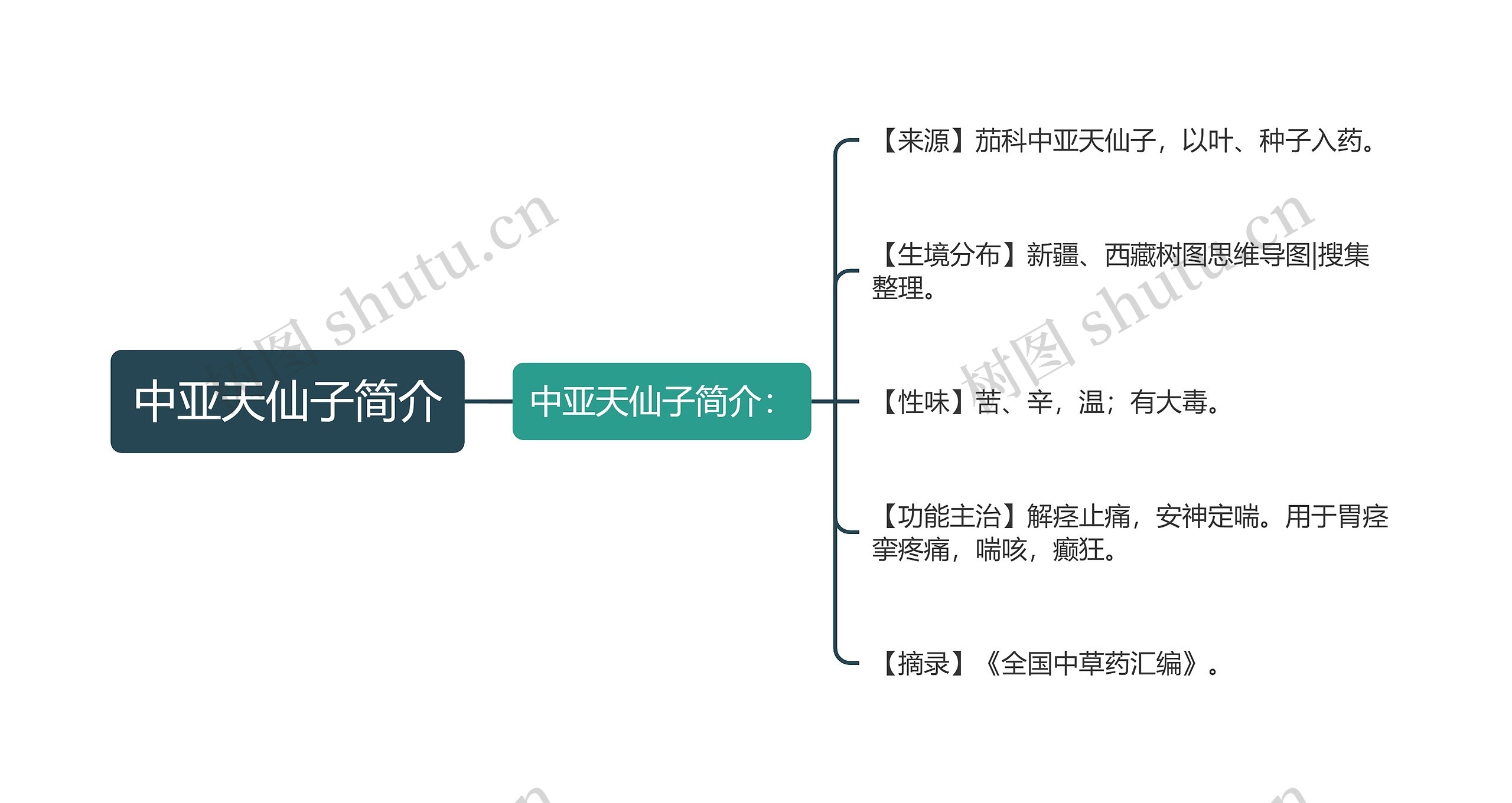 中亚天仙子简介思维导图