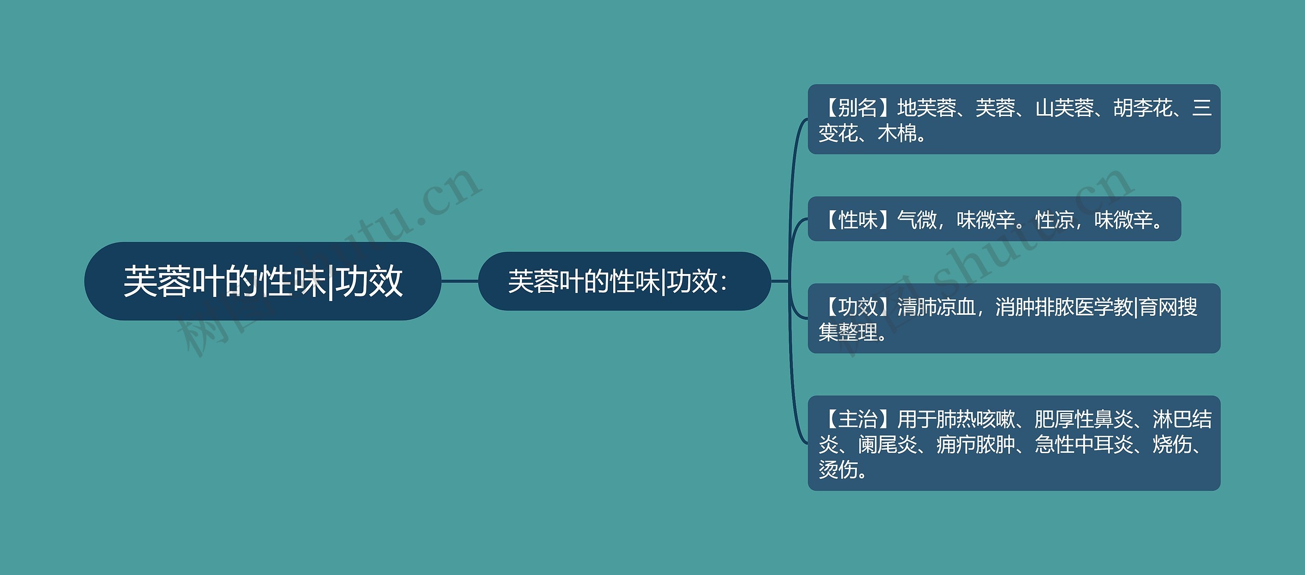 芙蓉叶的性味|功效 芙蓉叶的性味|功效