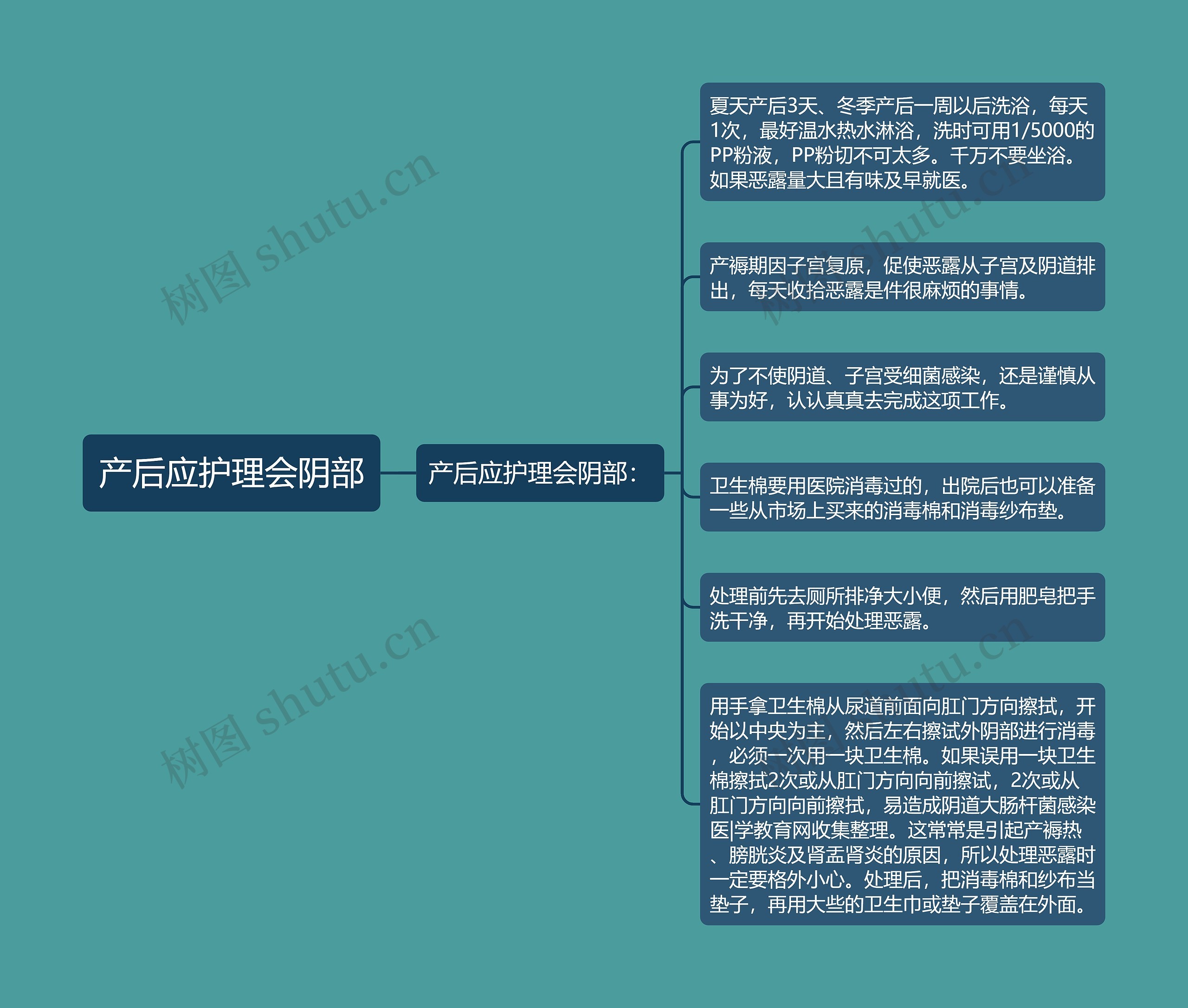 产后应护理会阴部思维导图