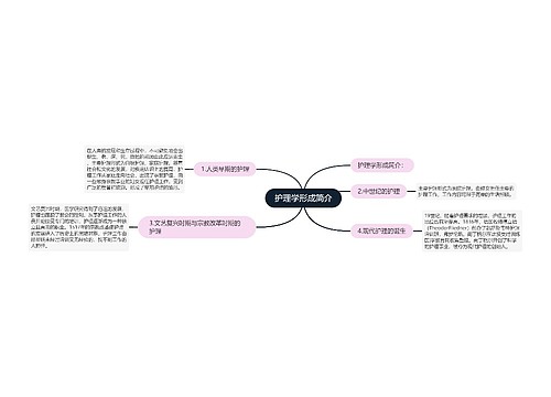 护理学形成简介