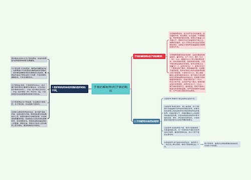 子宫的解剖特点|子宫的毗邻