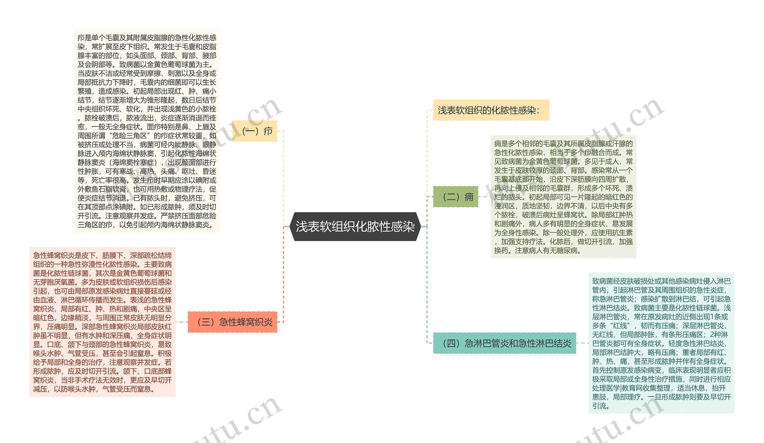 浅表软组织化脓性感染思维导图