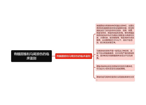 脊髓圆锥和马尾损伤的临床鉴别