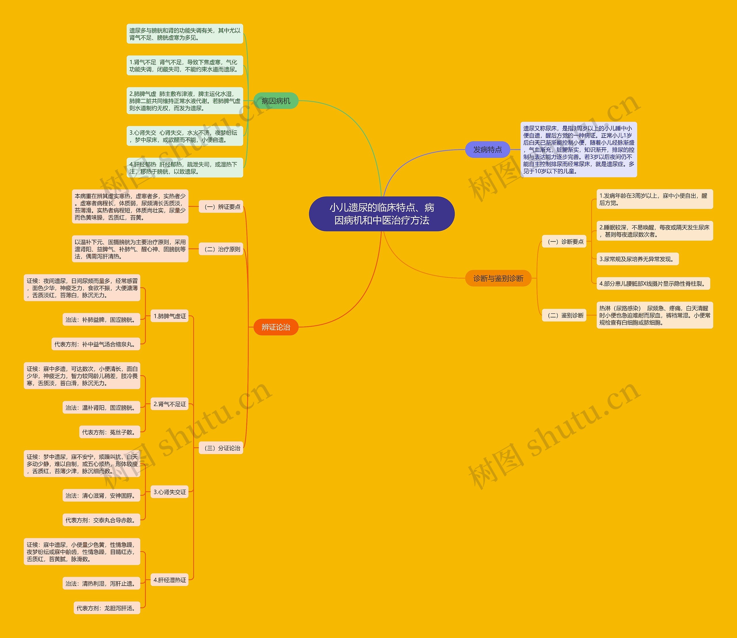 小儿遗尿的临床特点、病因病机和中医治疗方法思维导图