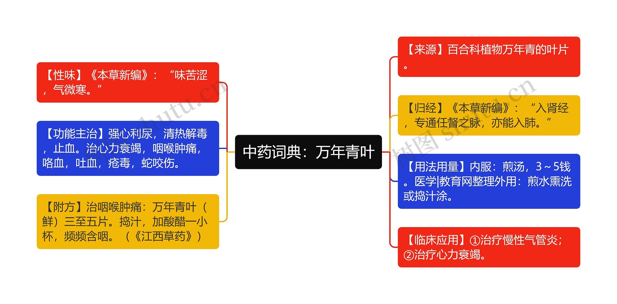 中药词典：万年青叶思维导图