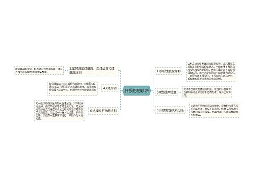 肝损伤的诊断