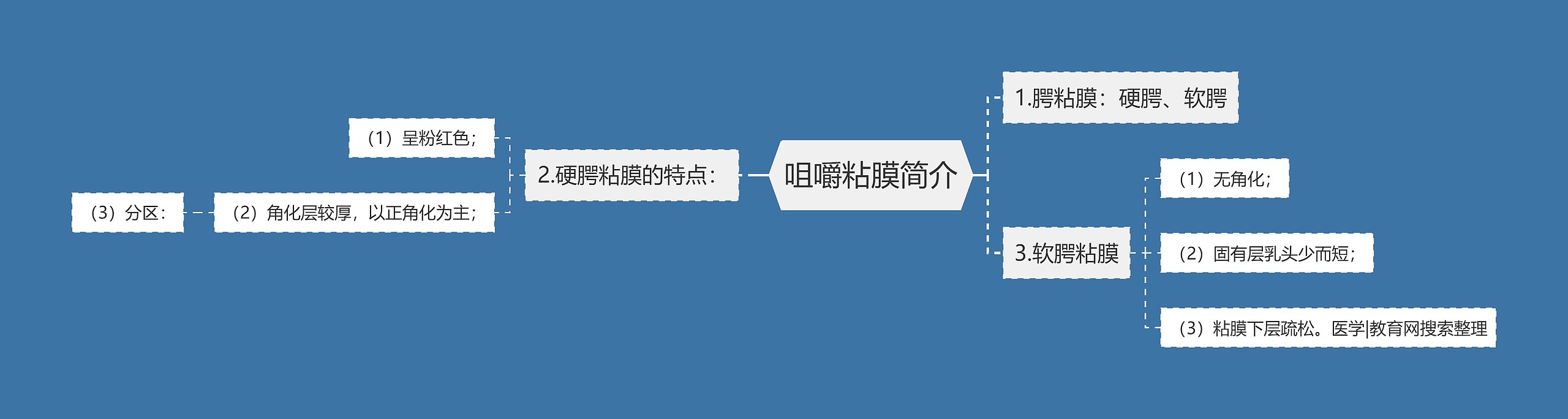 咀嚼粘膜简介