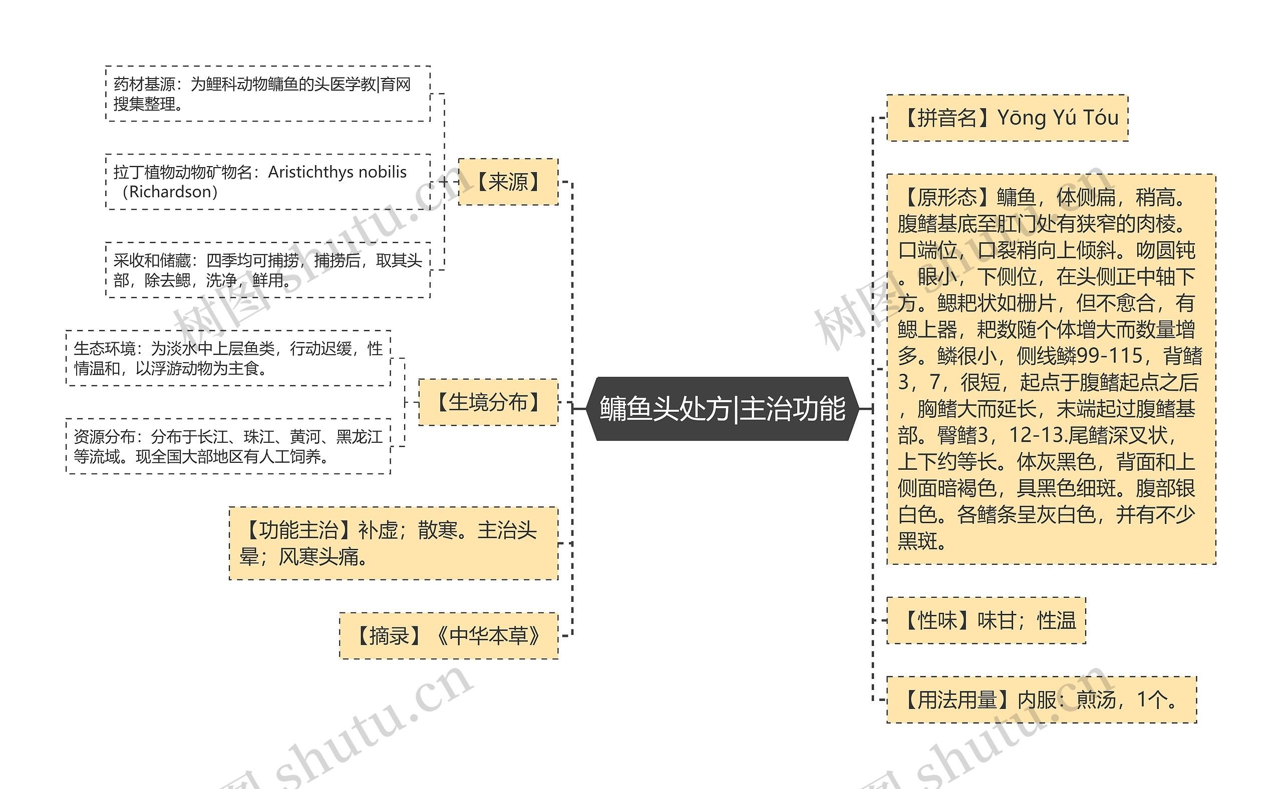 鳙鱼头处方|主治功能思维导图