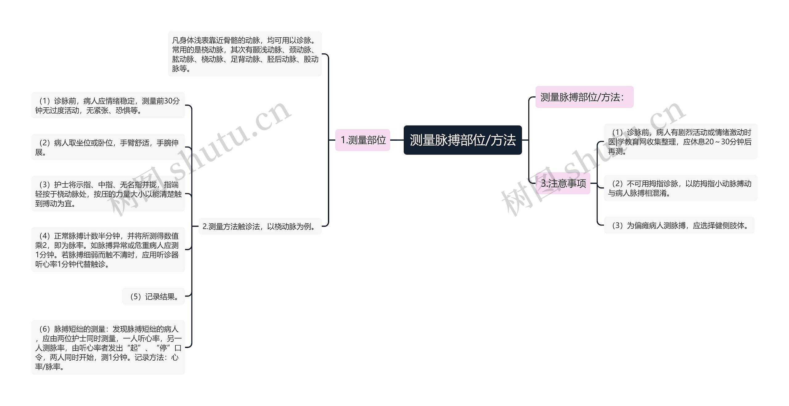 测量脉搏部位/方法 测量脉搏部位/方法