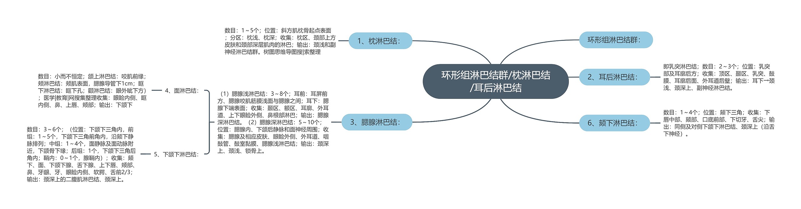 环形组淋巴结群/枕淋巴结/耳后淋巴结