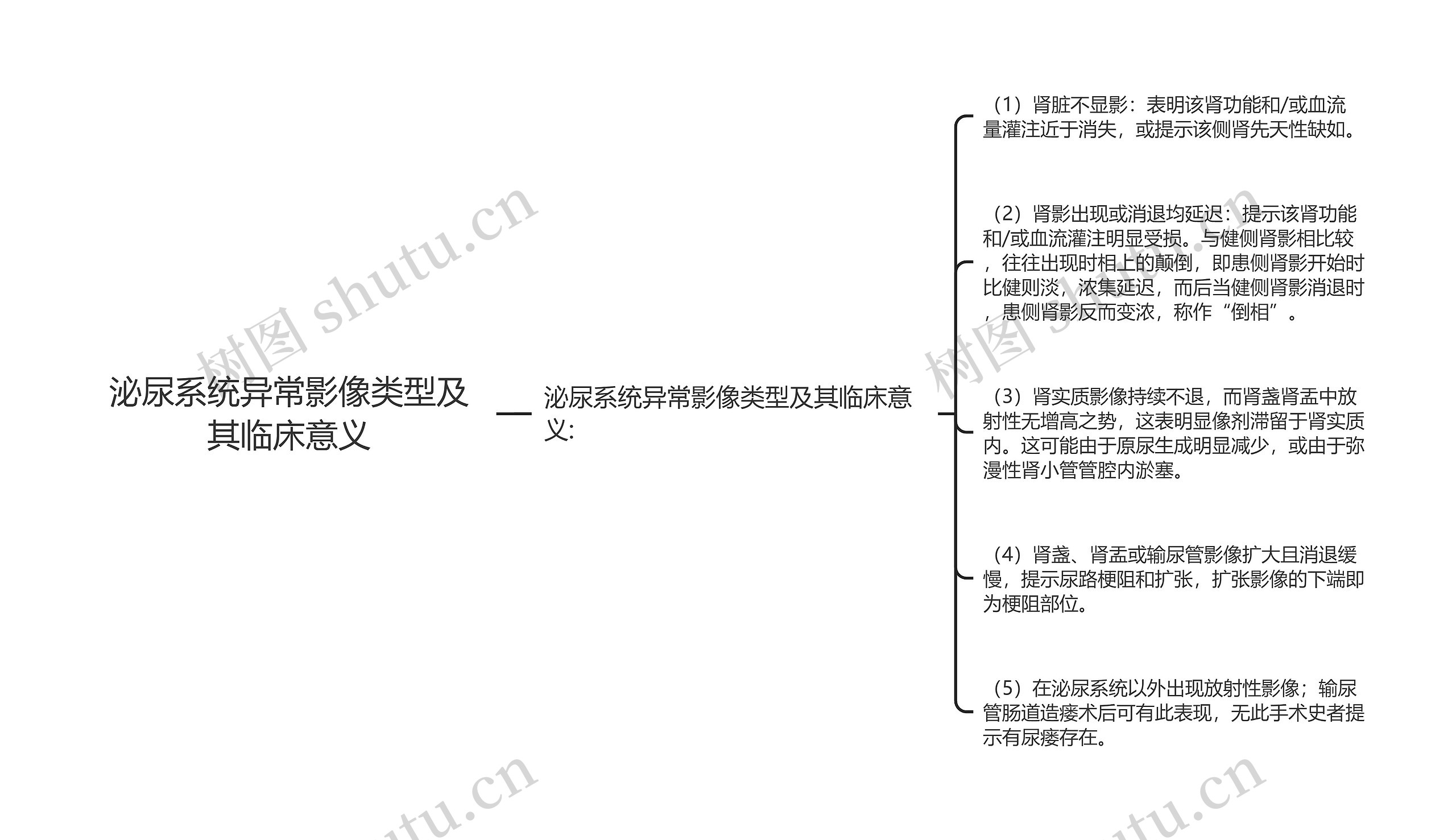 泌尿系统异常影像类型及其临床意义思维导图