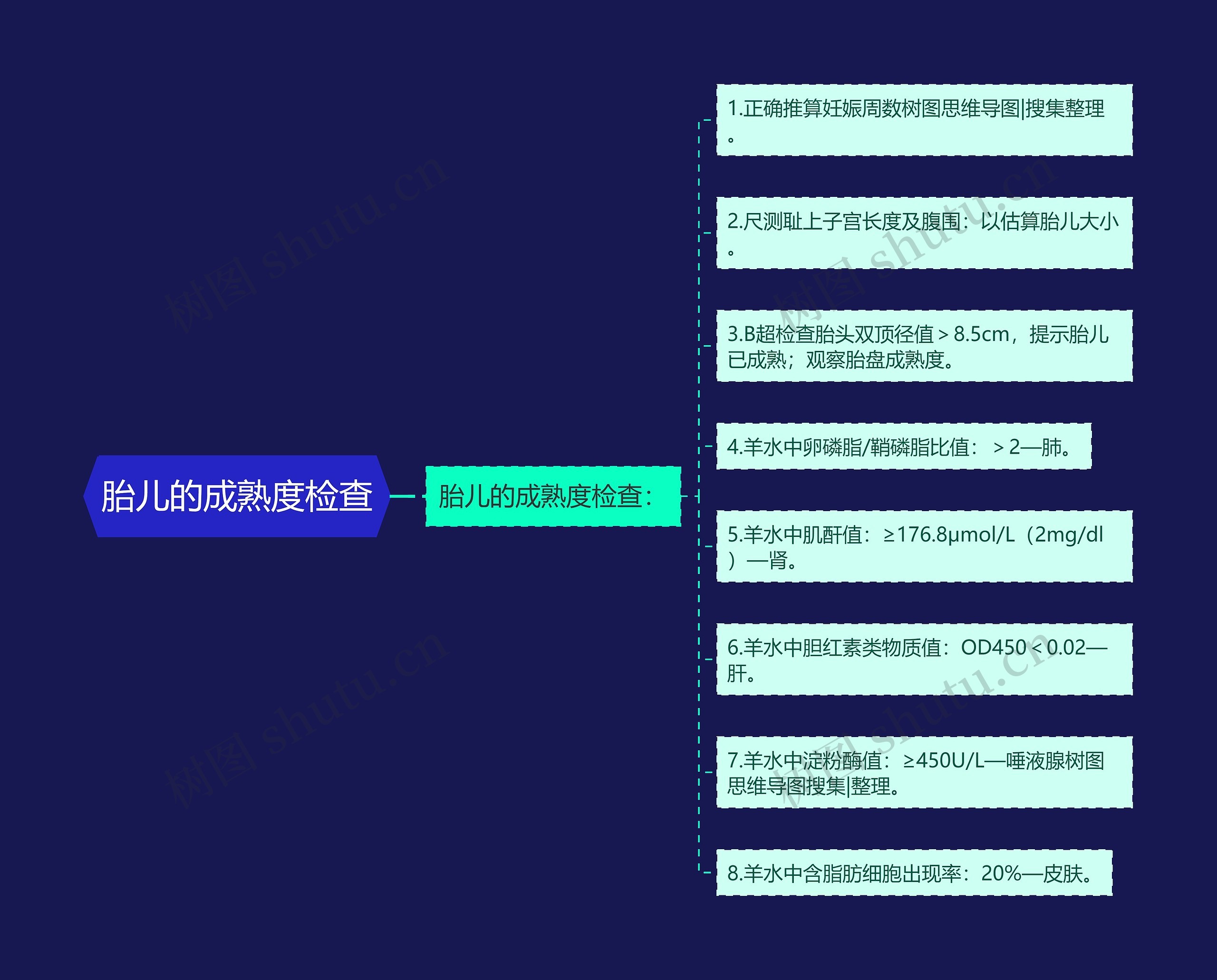 胎儿的成熟度检查思维导图