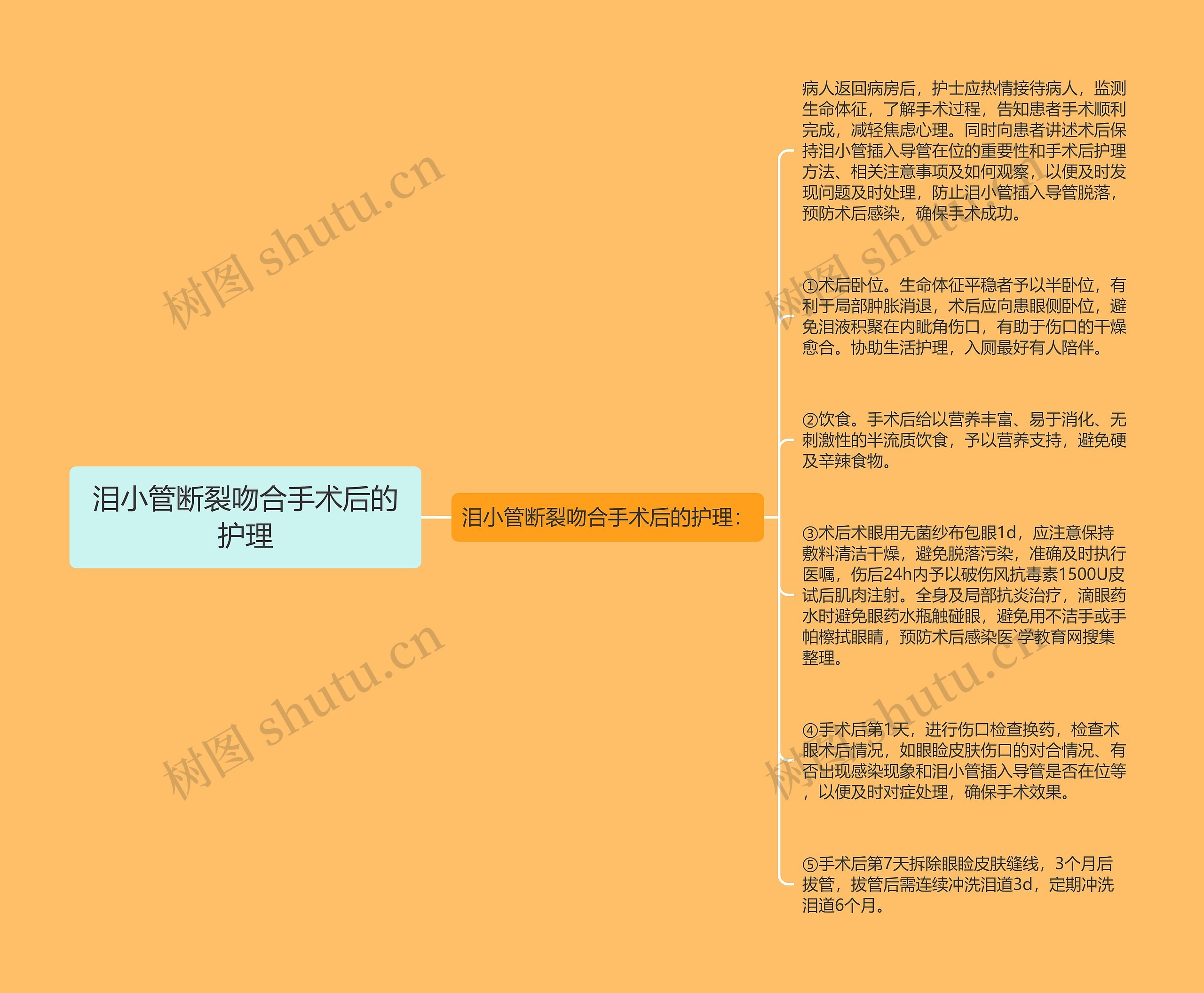 泪小管断裂吻合手术后的护理思维导图