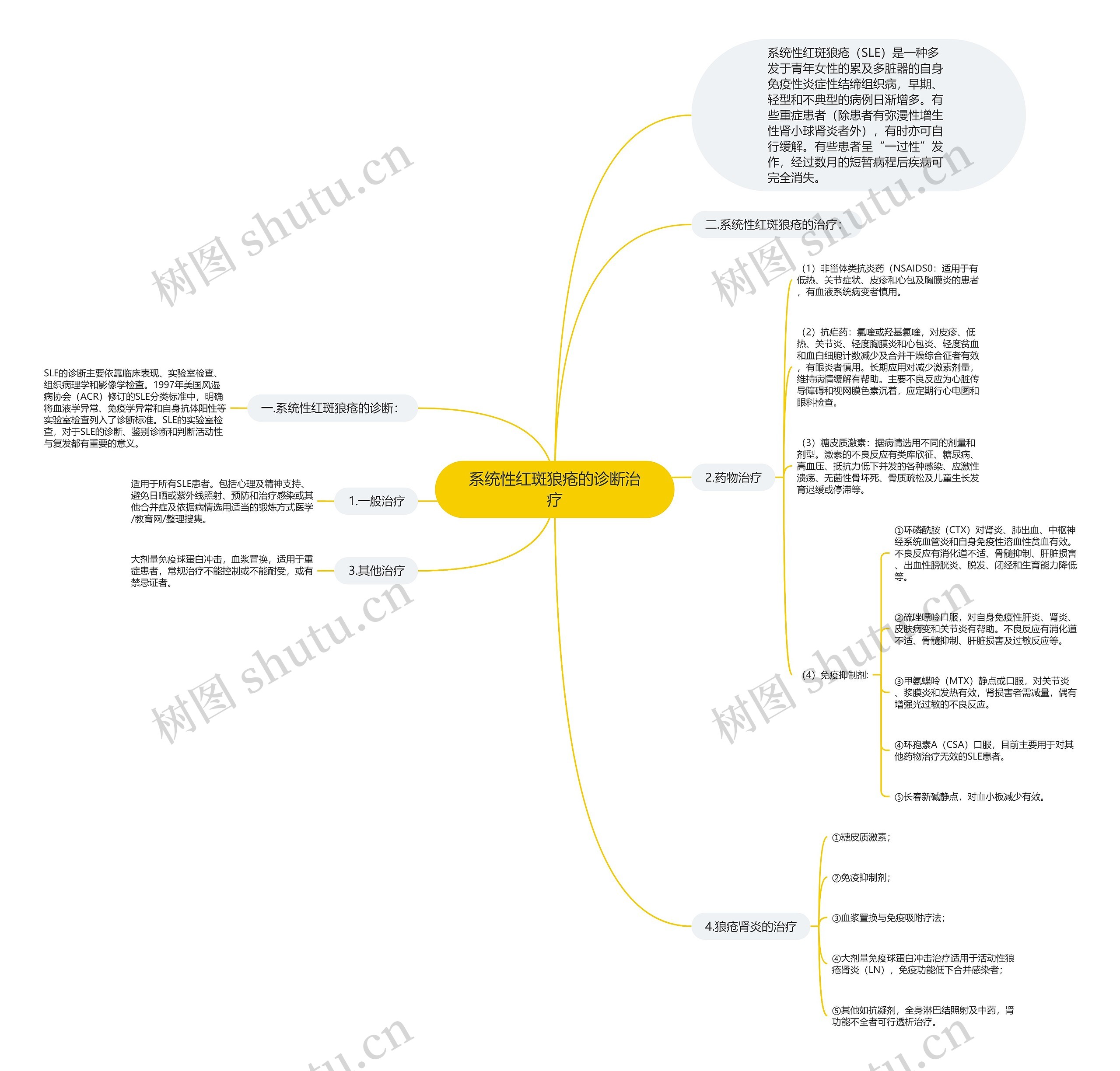 系统性红斑狼疮的诊断治疗思维导图