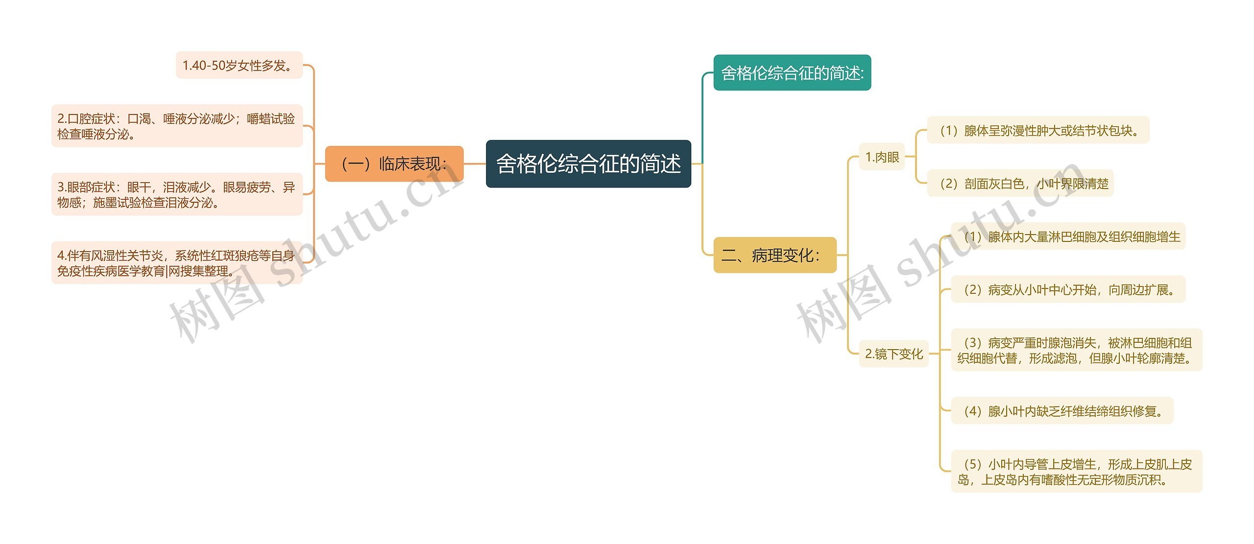 舍格伦综合征的简述思维导图