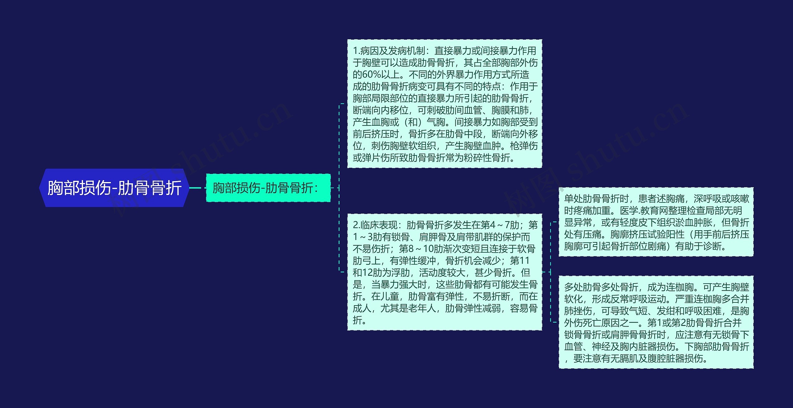 胸部损伤-肋骨骨折 胸部损伤-肋骨骨折