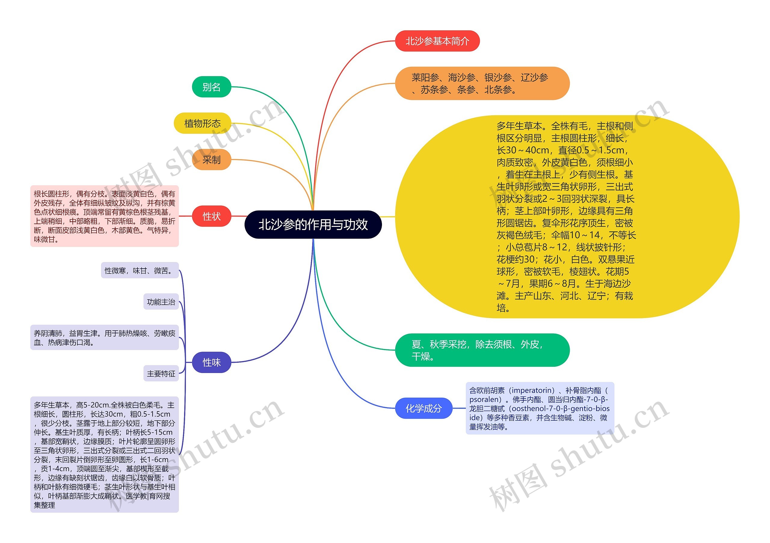 北沙参的作用与功效思维导图