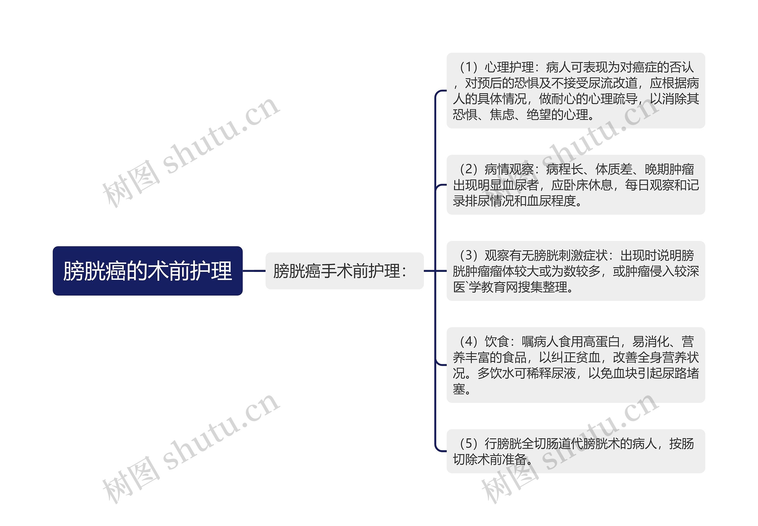 膀胱癌的术前护理思维导图