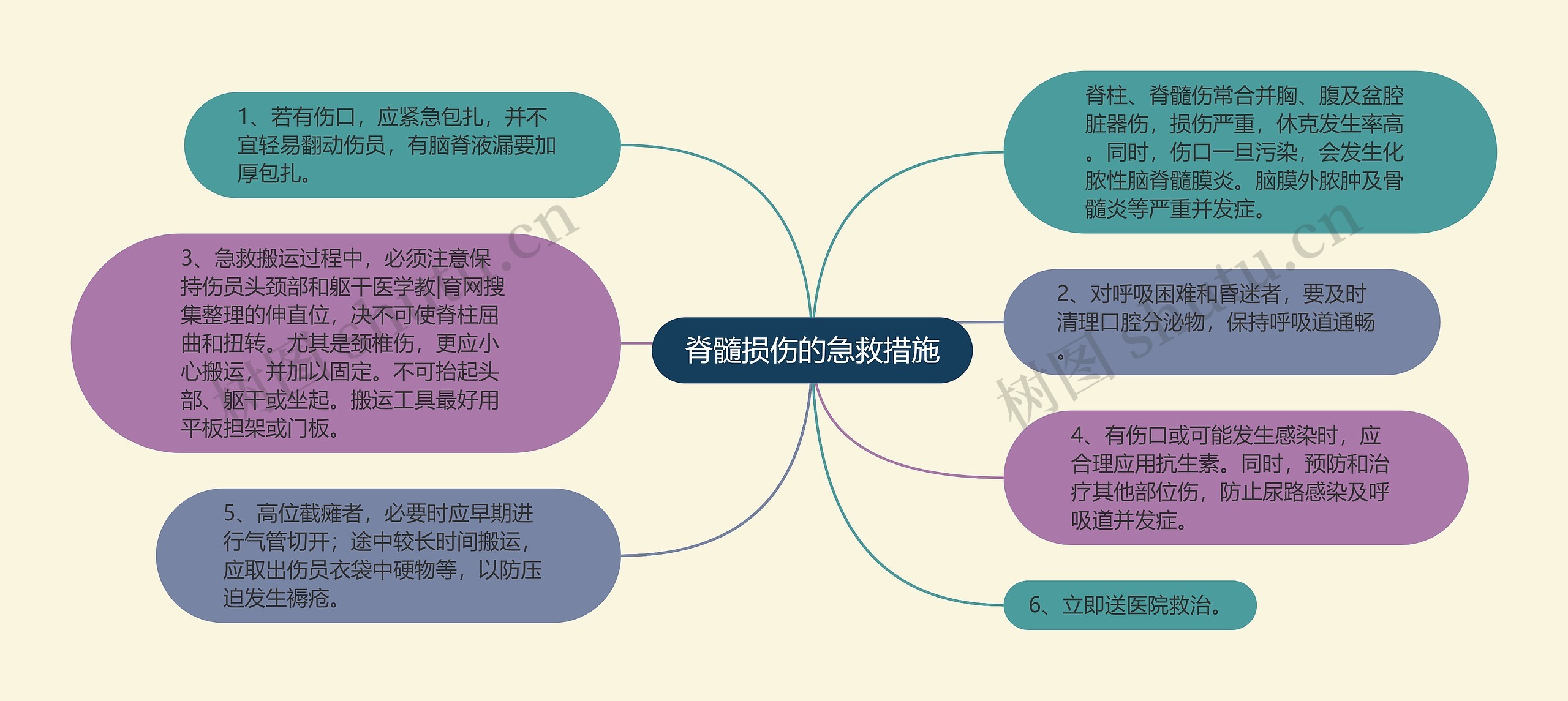 脊髓损伤的急救措施思维导图