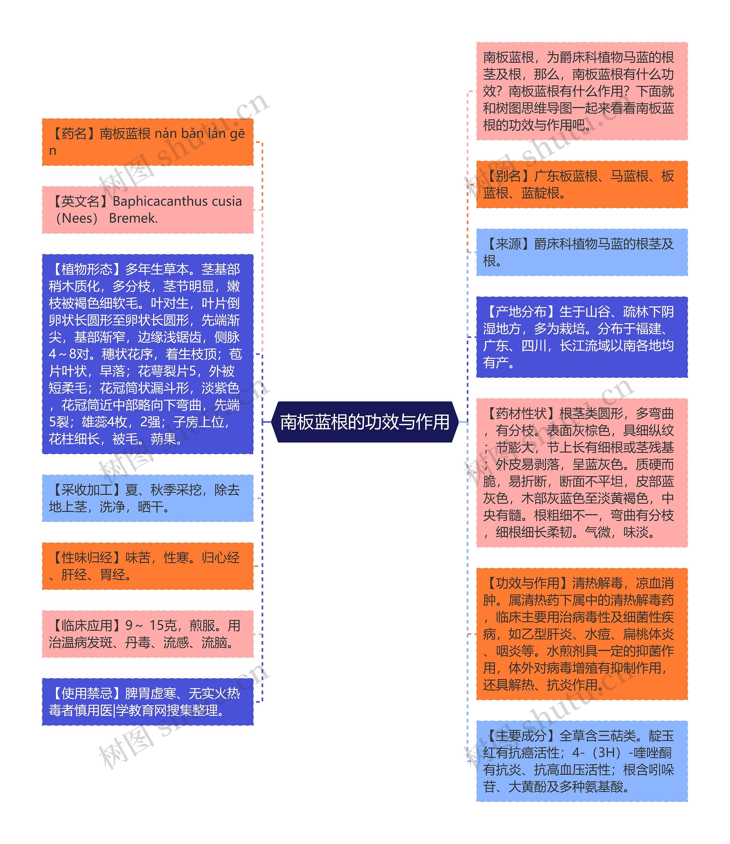 南板蓝根的功效与作用思维导图