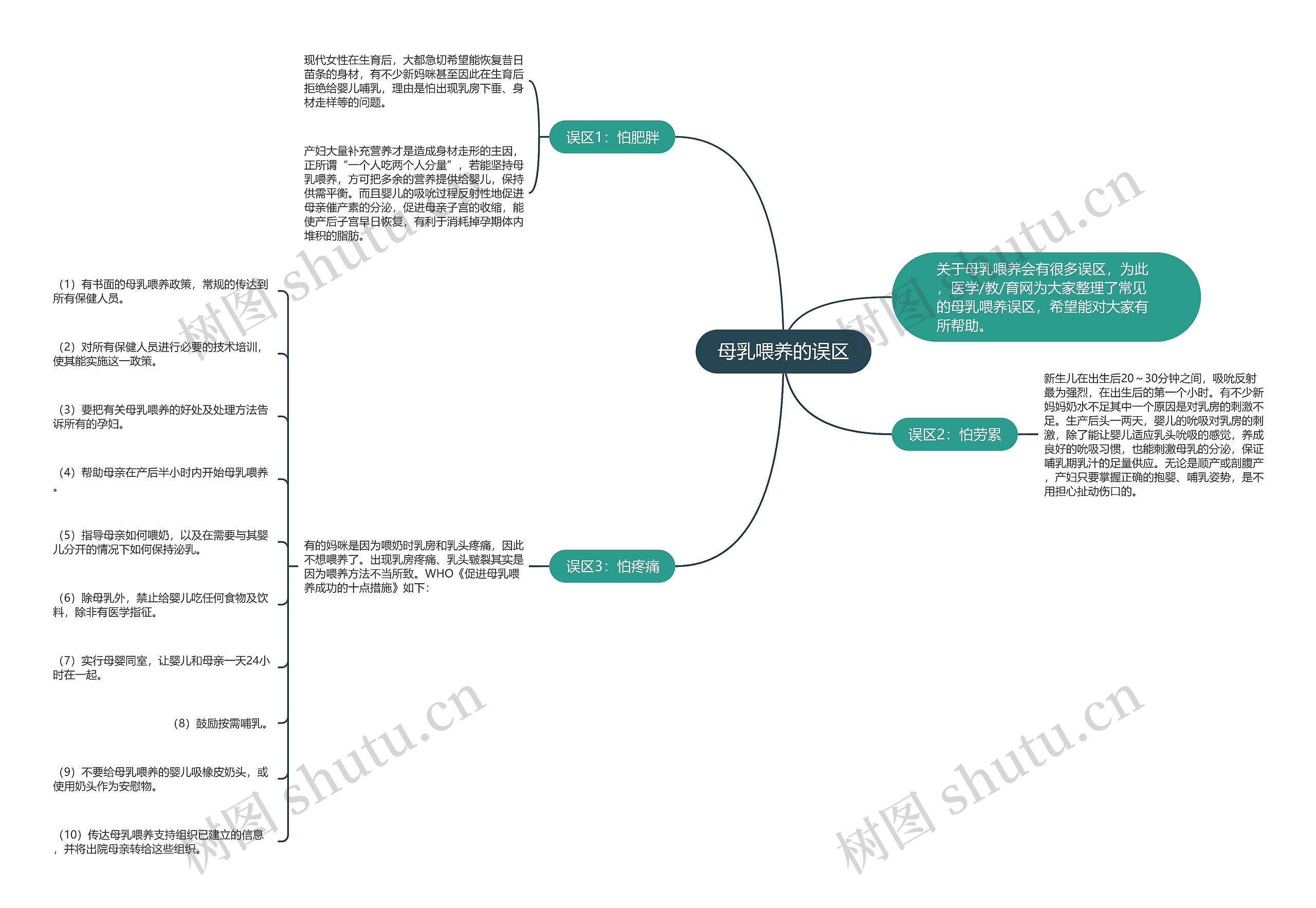 母乳喂养的误区思维导图