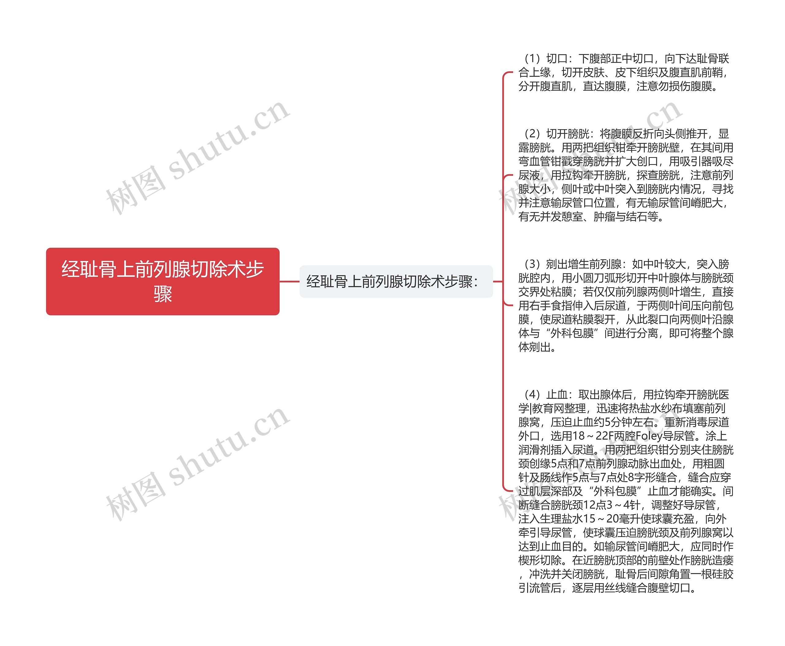 经耻骨上前列腺切除术步骤思维导图