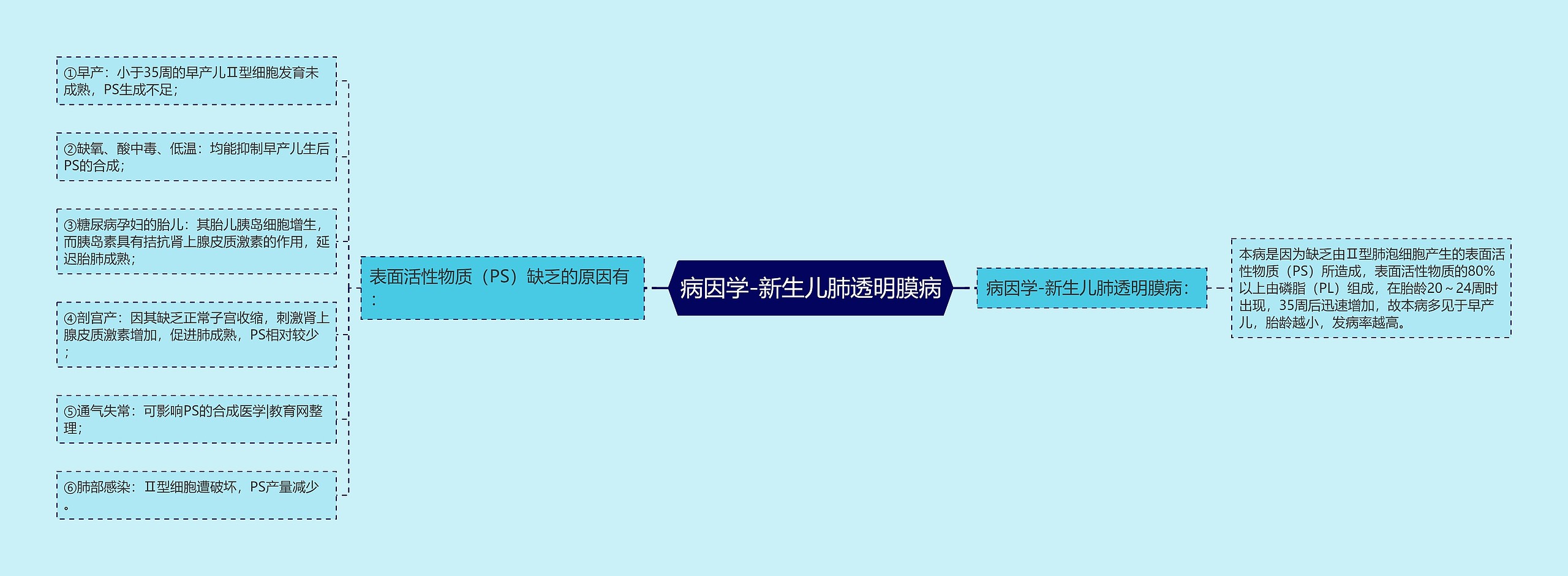 病因学-新生儿肺透明膜病 病因学-新生儿肺透明膜病