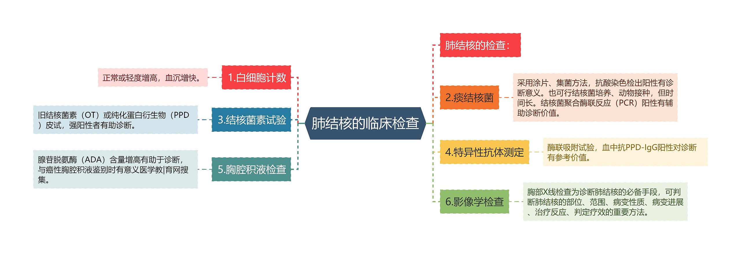 肺结核的临床检查思维导图