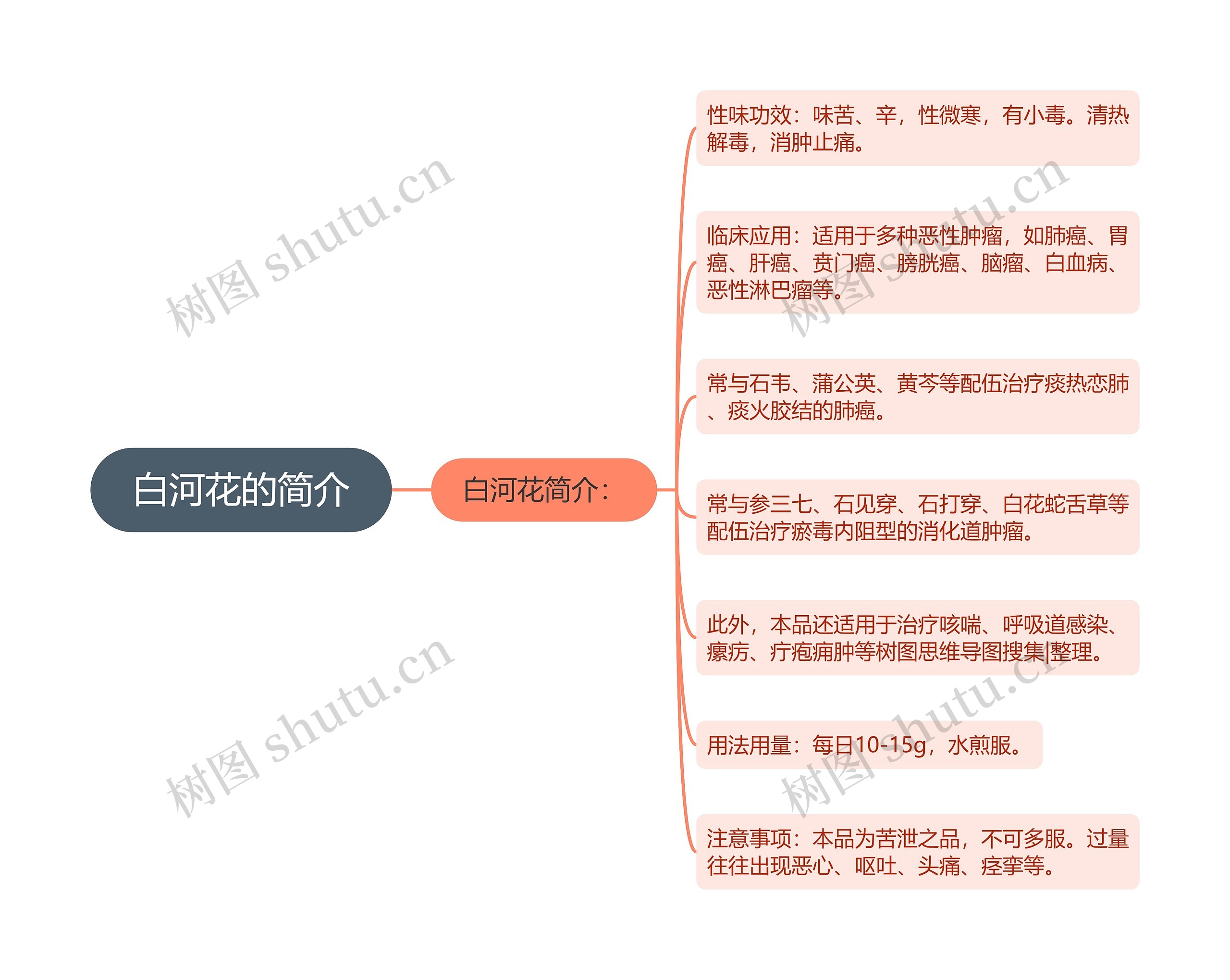 白河花的简介思维导图