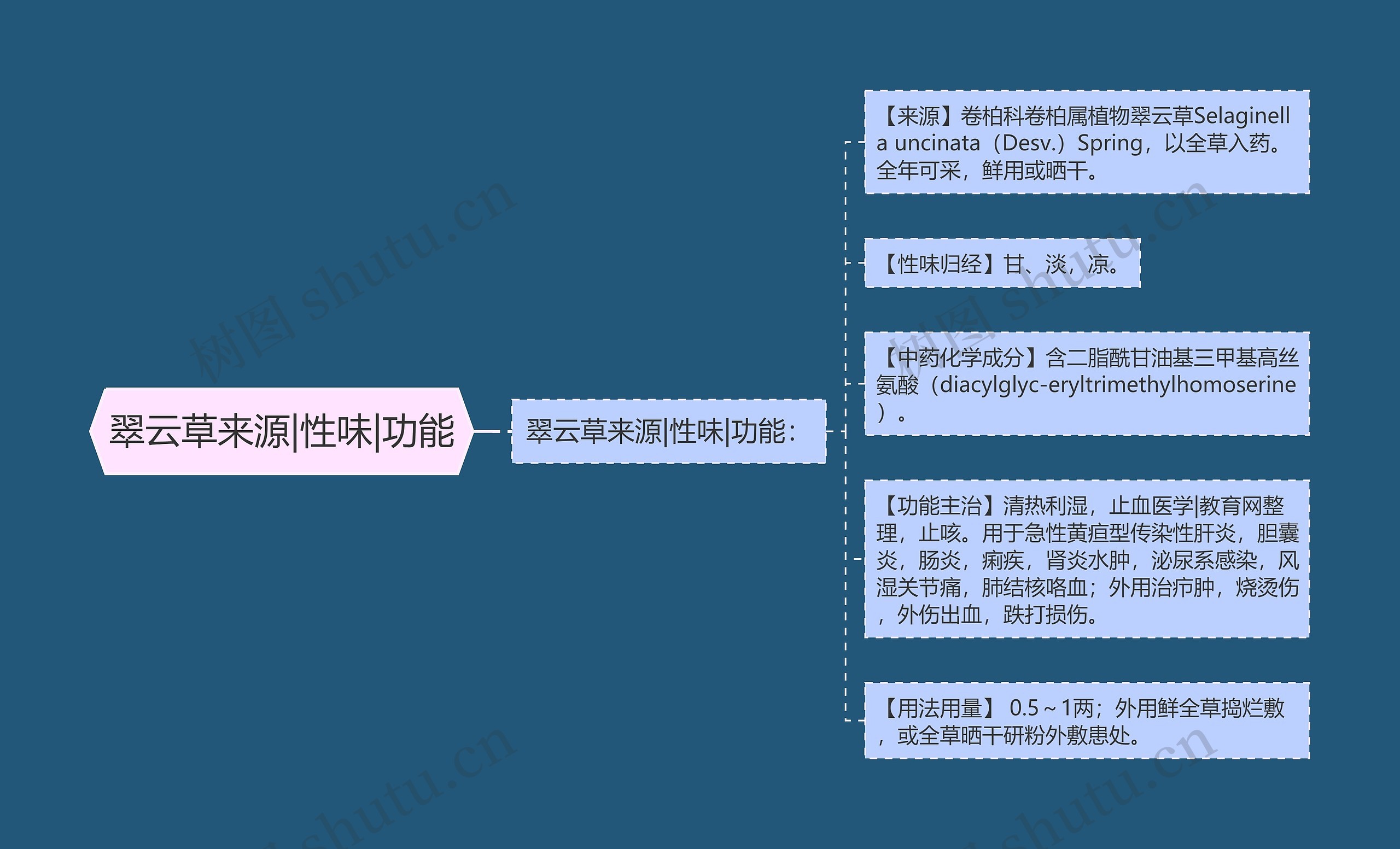 翠云草来源|性味|功能思维导图