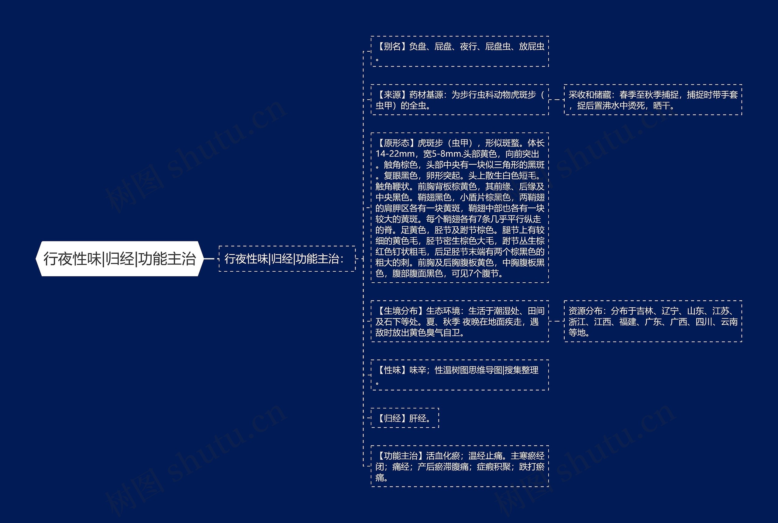 行夜性味|归经|功能主治思维导图