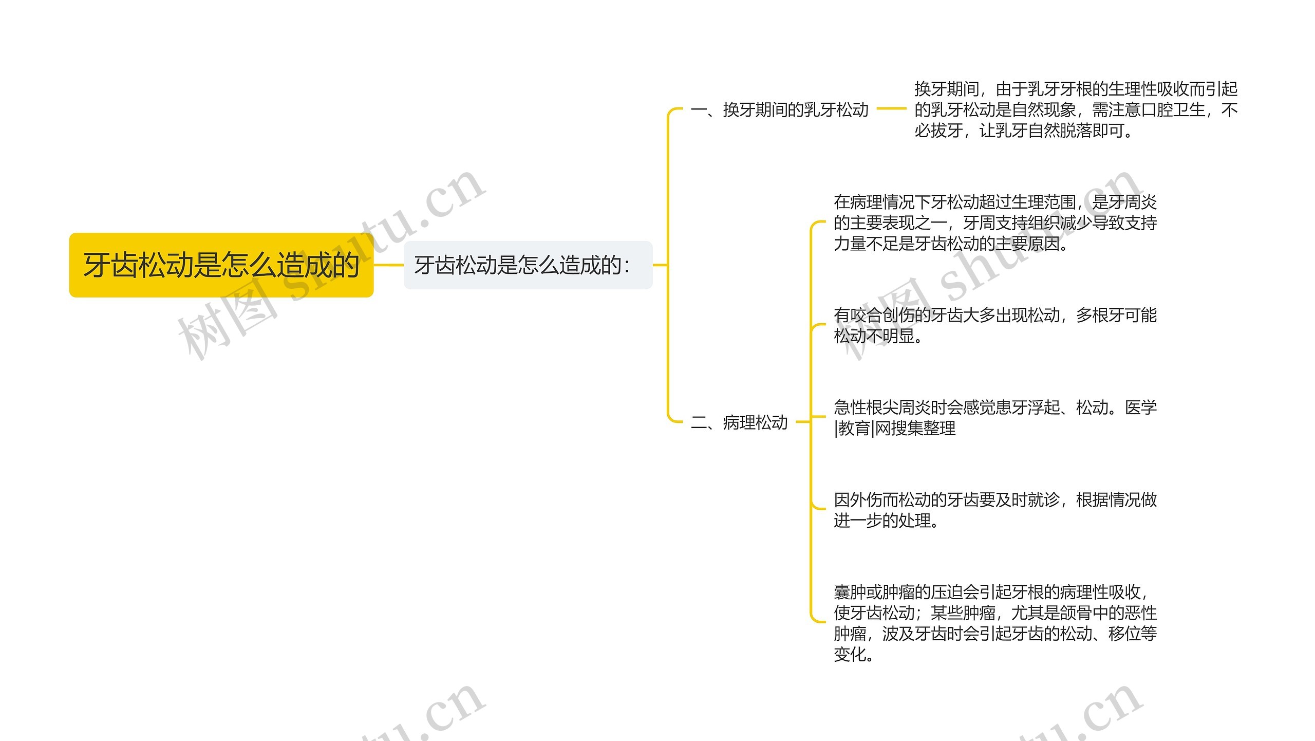 牙齿松动是怎么造成的