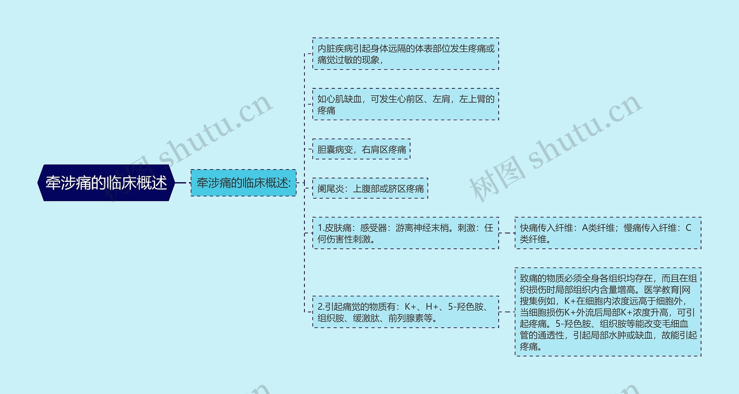 牵涉痛的临床概述 牵涉痛的临床概述