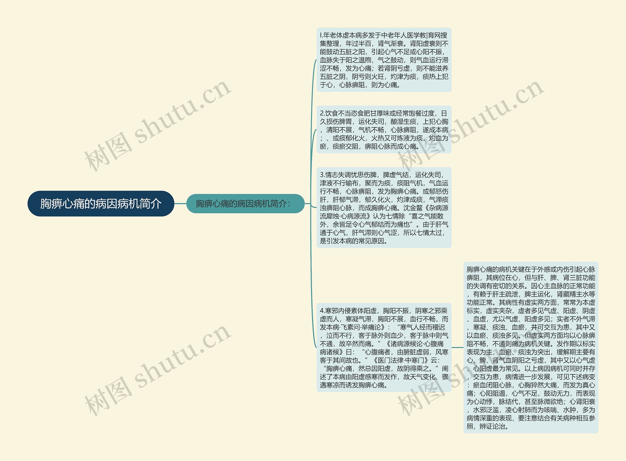 胸痹心痛的病因病机简介思维导图