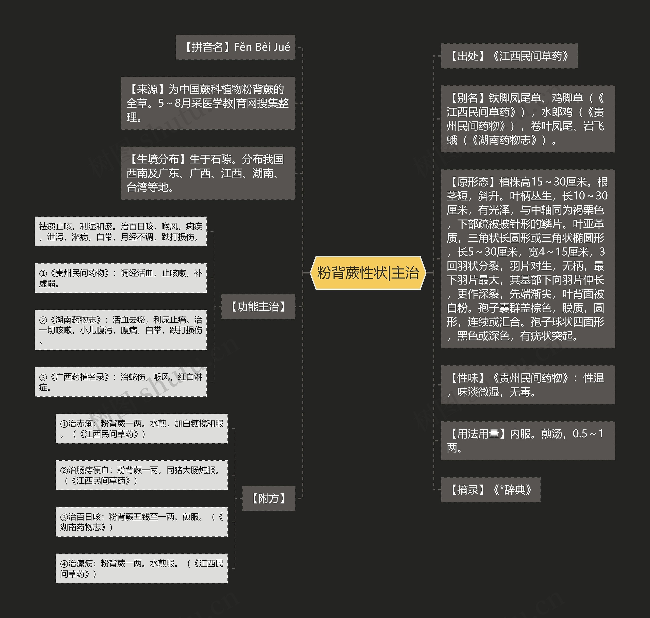 粉背蕨性状|主治