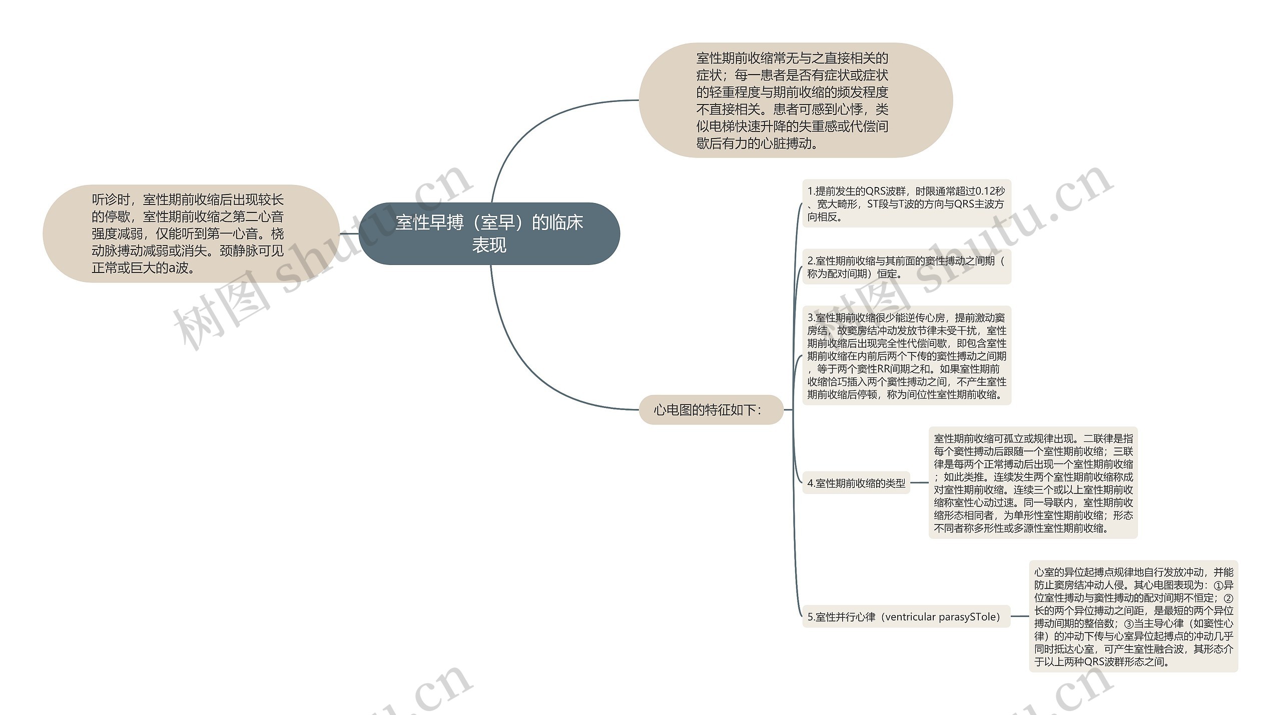 室性早搏（室早）的临床表现思维导图