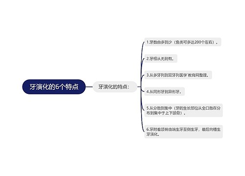 牙演化的6个特点