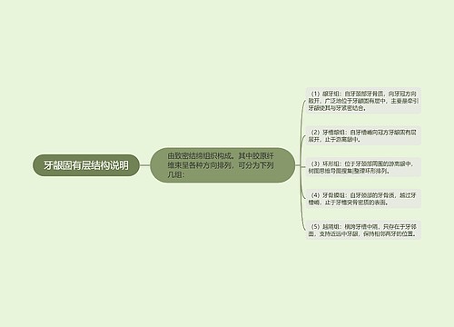 牙龈固有层结构说明