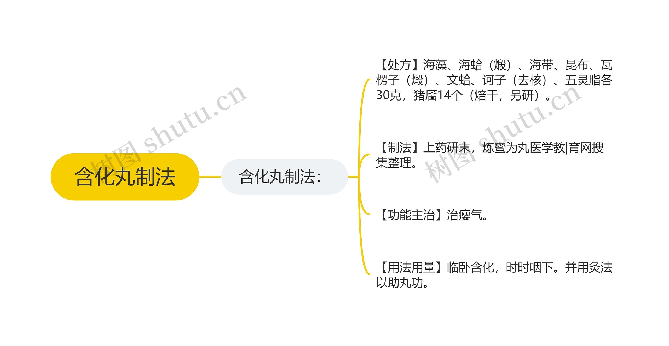 含化丸制法思维导图