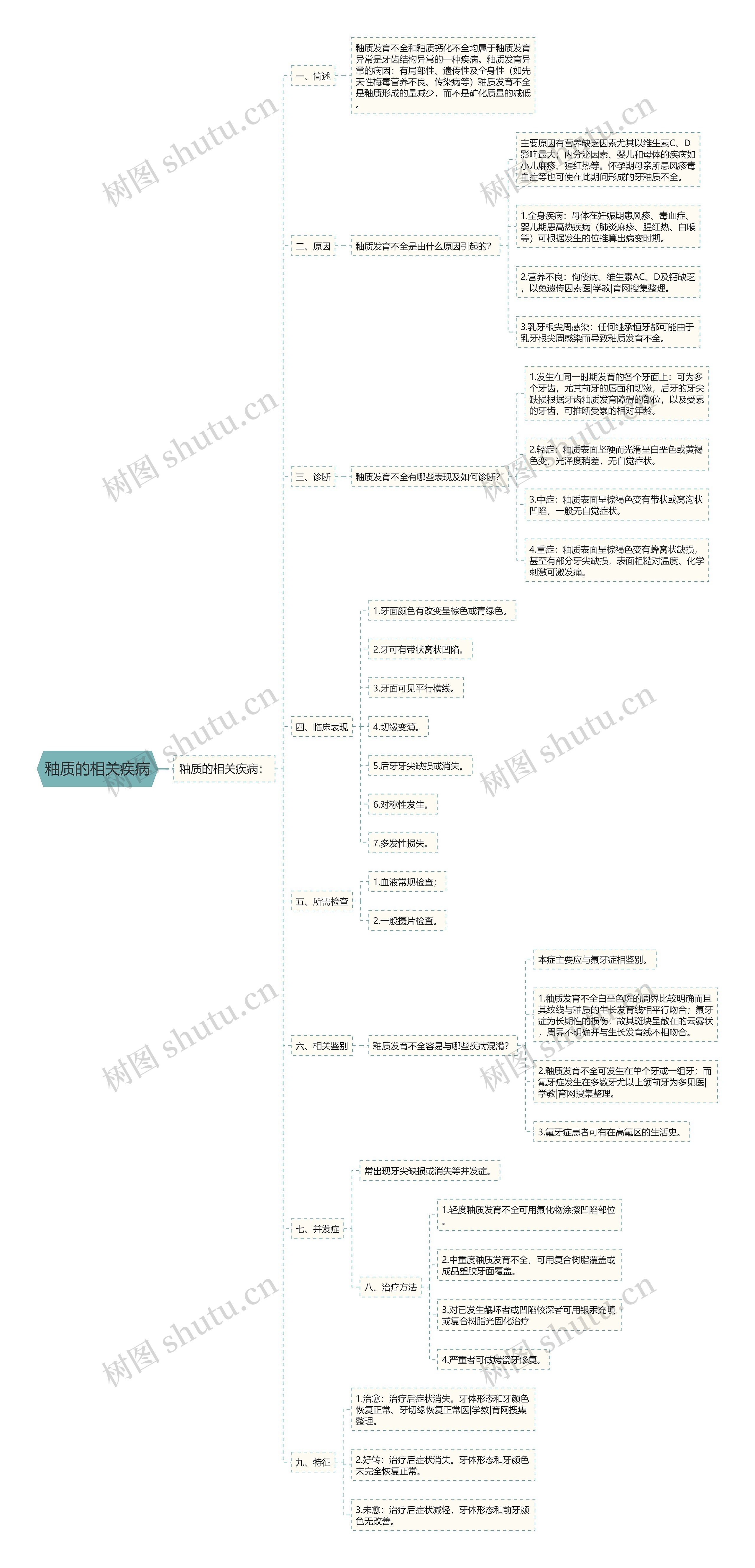 釉质的相关疾病思维导图