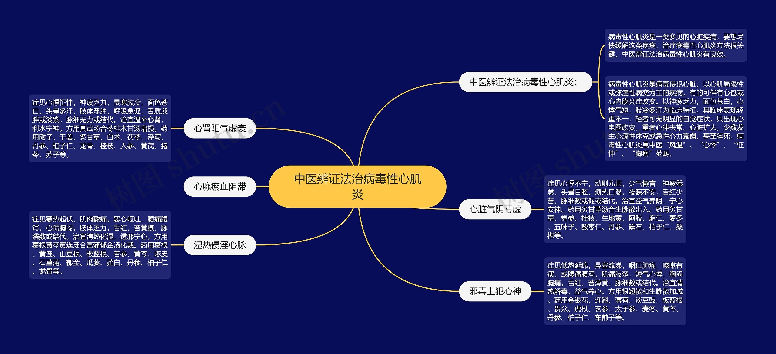 中医辨证法治病毒性心肌炎思维导图