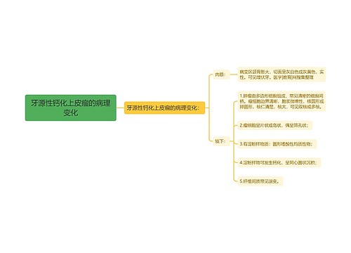 牙源性钙化上皮瘤的病理变化